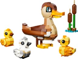 Duck Family